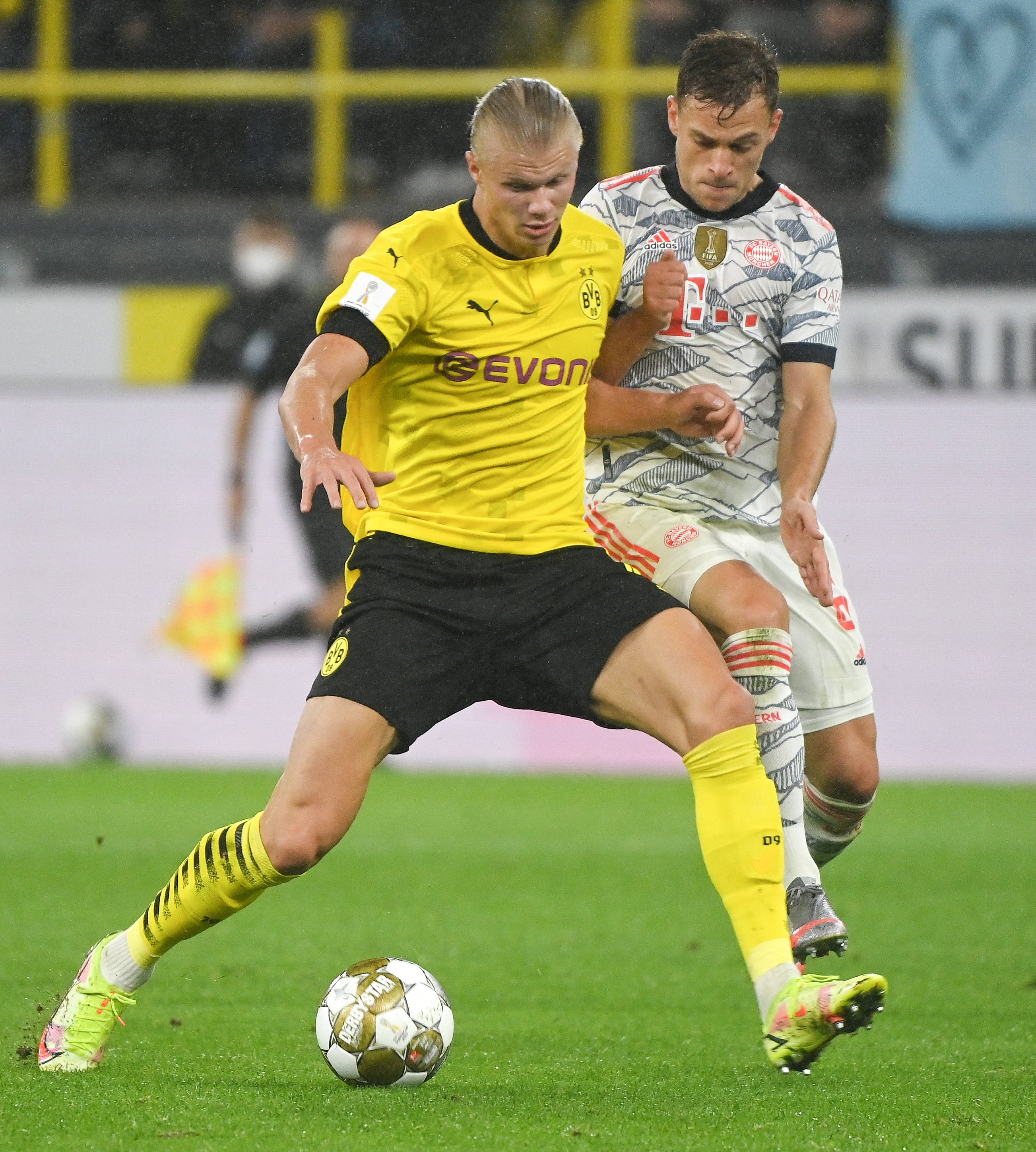 真实口碑 真实口碑